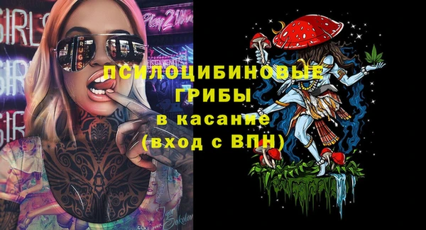 прущие крисы Алзамай