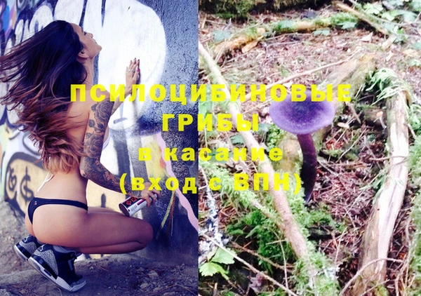прущие крисы Алзамай