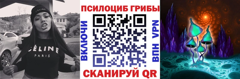omg ССЫЛКА  Мытищи  Галлюциногенные грибы MAGIC MUSHROOMS 