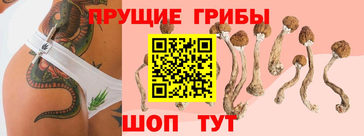 Мытищи  Псилоцибиновые грибы прущие грибы  купить наркоту  Вход с VPN 